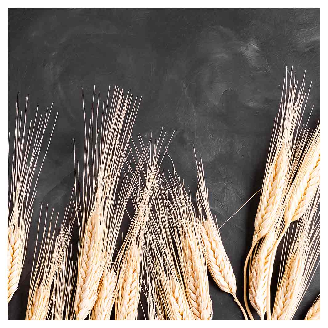 WHEAT ON POWDER BLACK NAPKIN