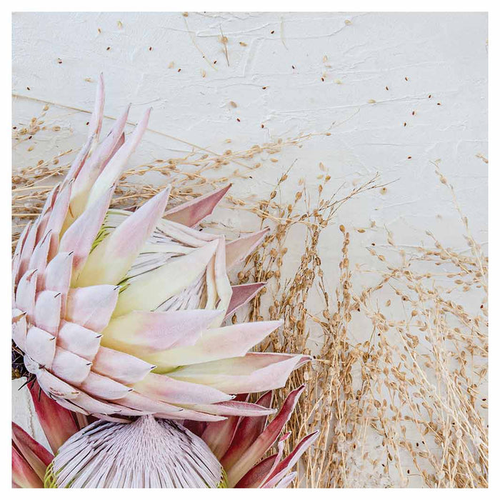 FLORAL PINK GRASSY PROTEA NAPKIN