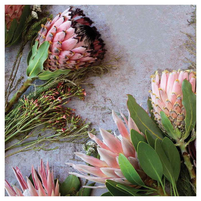 FLORAL PINK MIXED KING PROTEAS NAPKIN