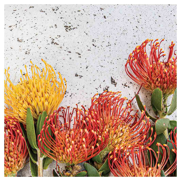 FLORAL ORANGE PIN CUSHIONS ON WHITE NAPKIN