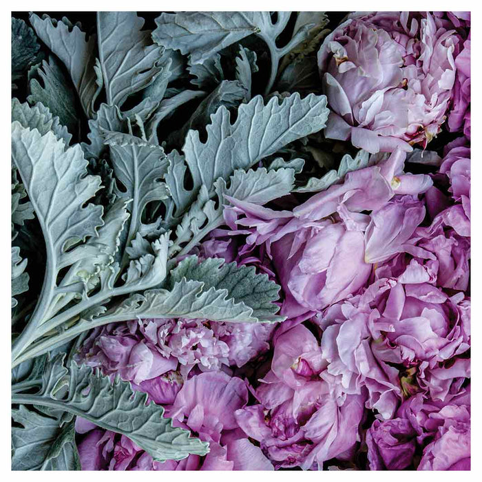 FLORAL SILVER LEAVES WITH PINK PEONIES NAPKIN