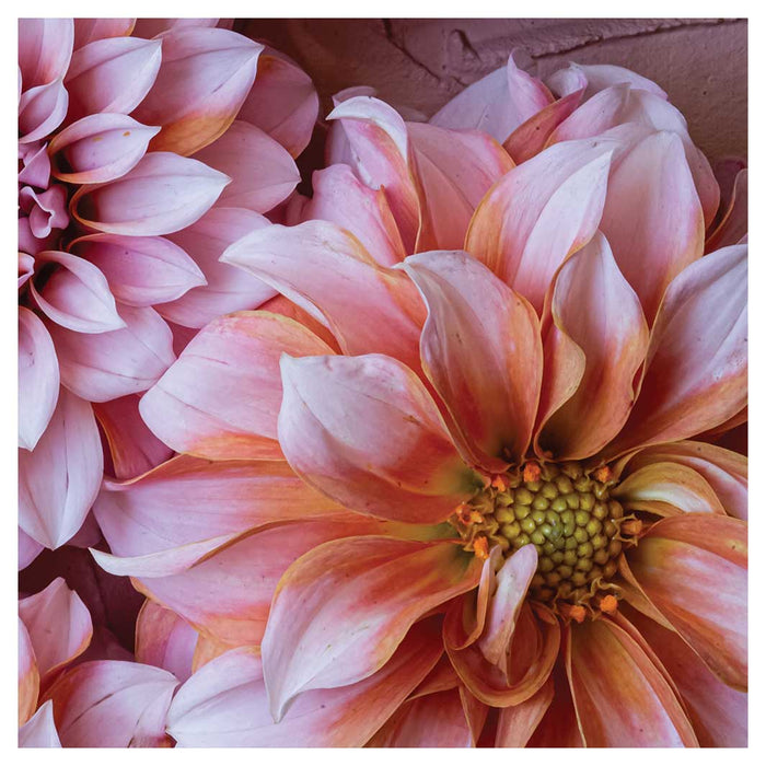 FLORAL PINK AND ORANGE DAHLIA FLOWERS NAPKIN