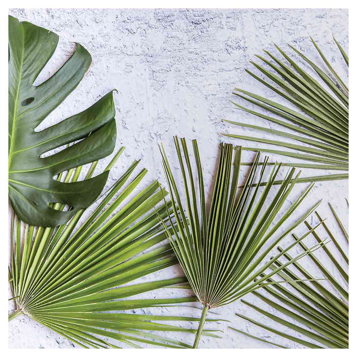 LEAVES GREEN PALM LEAVES ON WHITE NAPKIN