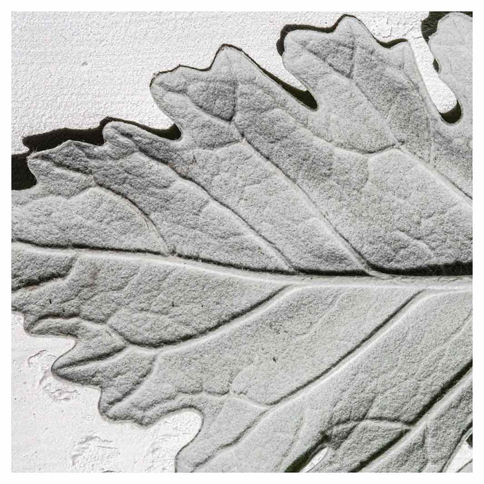 LEAVES GREY MONOCHROME LEAF NAPKIN