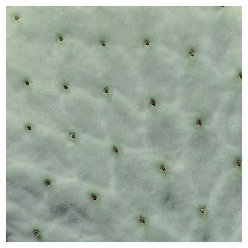 NATURAL GREEN PRICKLY PEAR LEAF NAPKIN