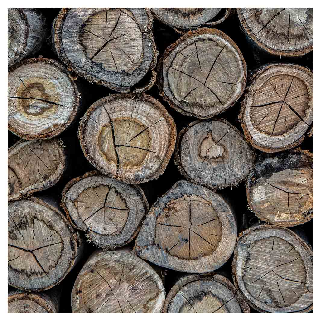 WOOD LOGS PATTERN NAPKIN