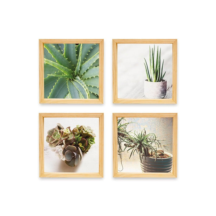 PINE BOXED CANVAS 4PCE COLLAGE SUCCULENT