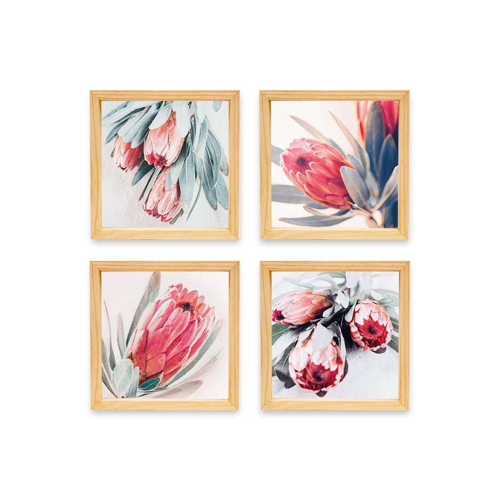 PINE BOXED CANVAS 4PCE COLLAGE RED PROTEA