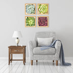 PINE BOXED CANVAS 4PCE COLLAGE ECHEVERIA