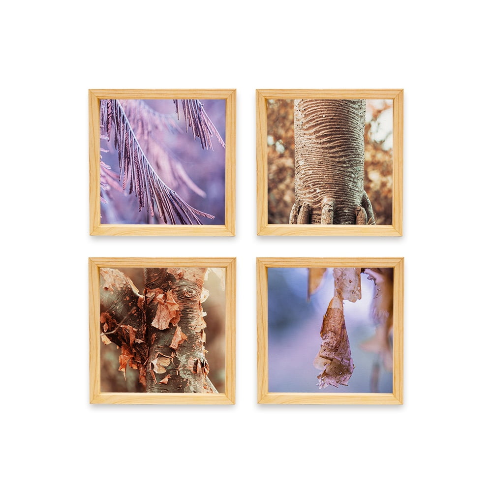 PINE BOXED CANVAS 4PCE COLLAGE TREES