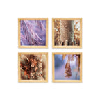 PINE BOXED CANVAS 4PCE COLLAGE TREES