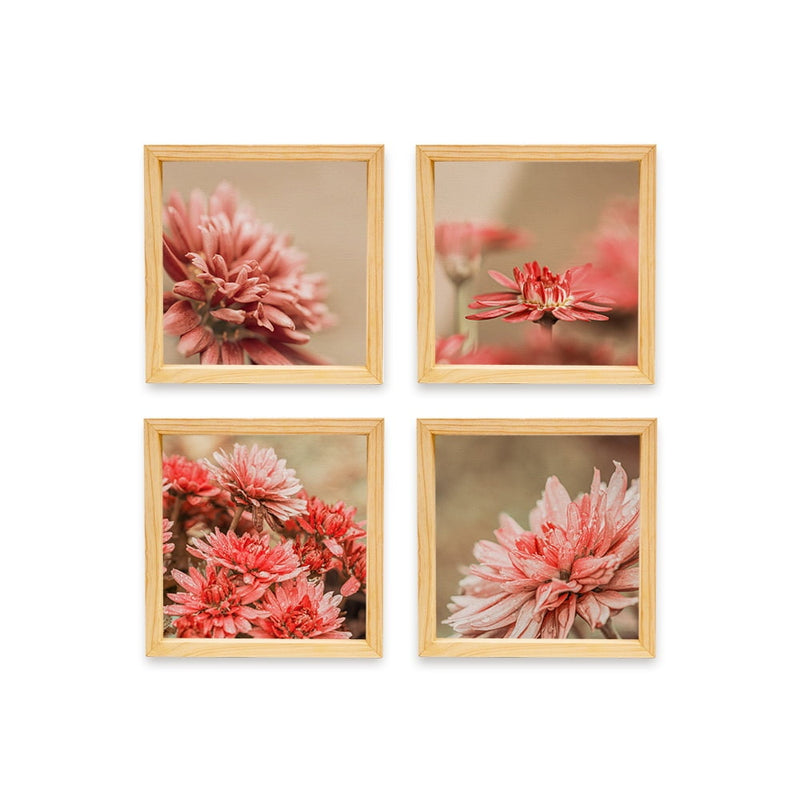 PINE BOXED CANVAS 4PCE COLLAGE FLOWERS 2