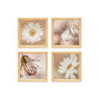 PINE BOXED CANVAS 4PCE COLLAGE FLOWERS 3