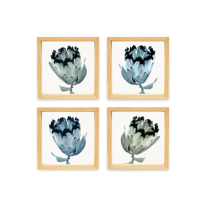 PINE BOXED CANVAS 4PCE COLLAGE PROTEA SET 1