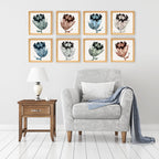 PINE BOXED CANVAS 4PCE COLLAGE PROTEA SET 1