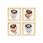 PINE BOXED CANVAS 4PCE COLLAGE PROTEA SET 2