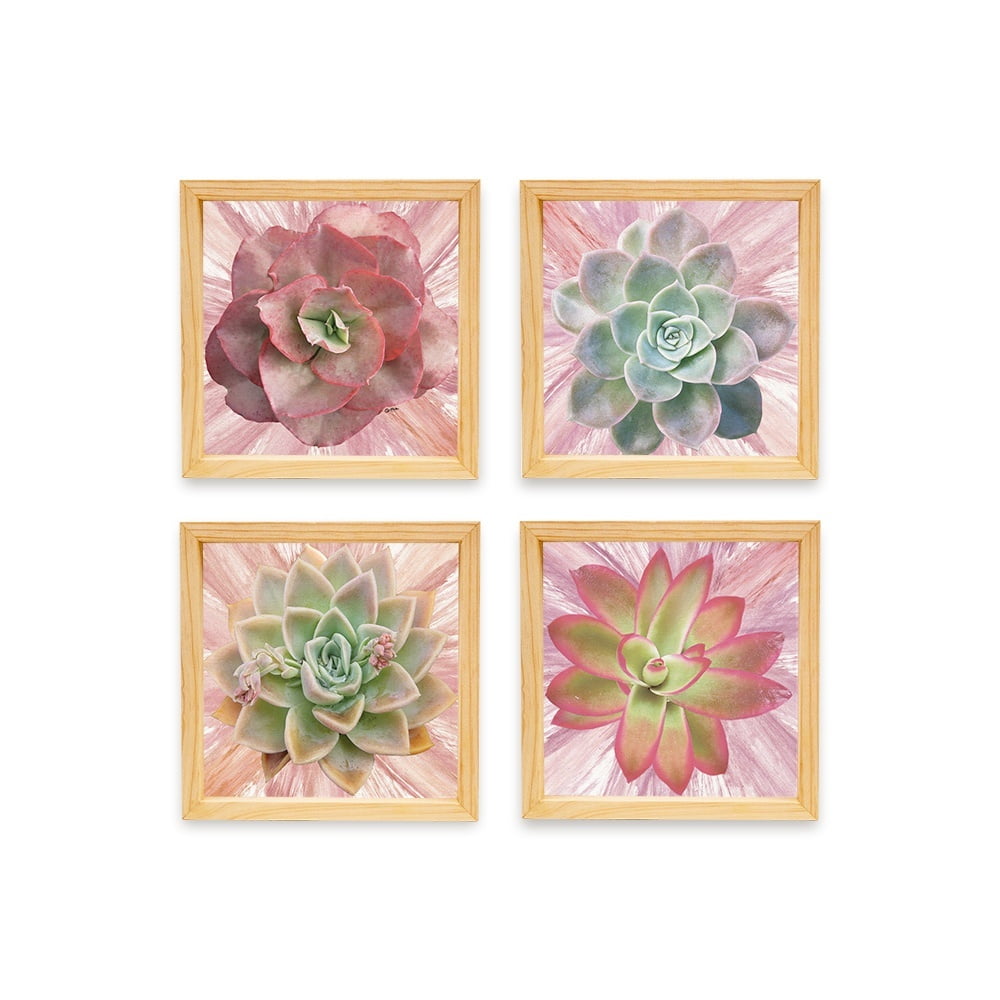 PINE BOXED CANVAS 4PCE COLLAGE SUCCULENTS WITH PAINT SET 1