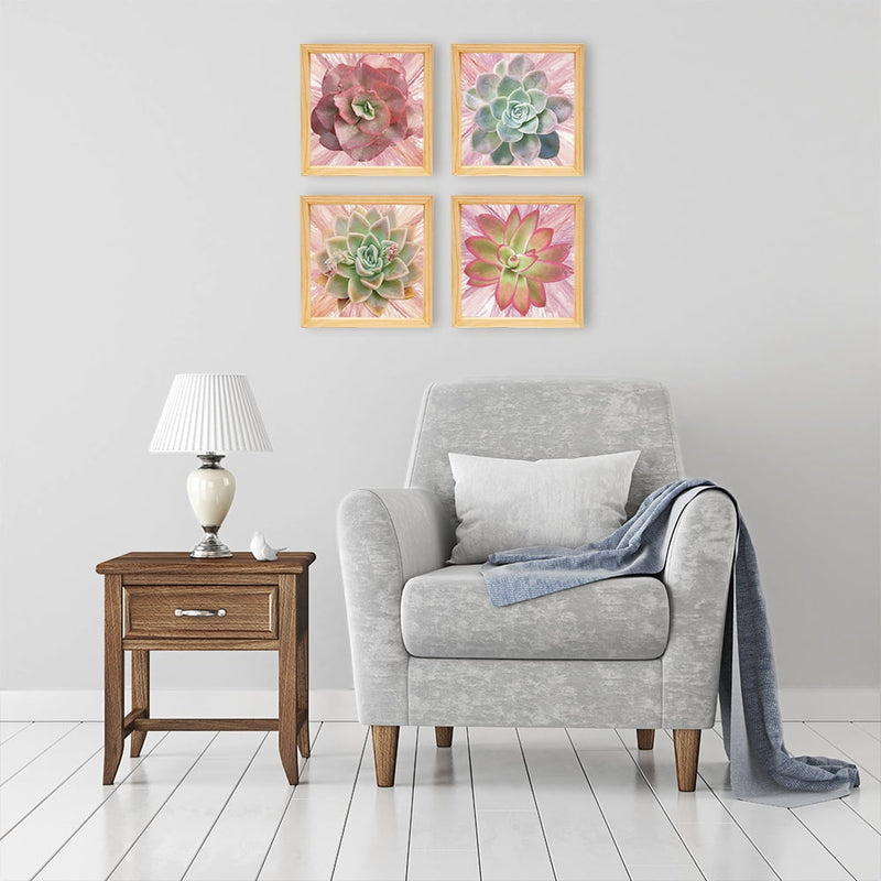 PINE BOXED CANVAS 4PCE COLLAGE SUCCULENTS WITH PAINT SET 1
