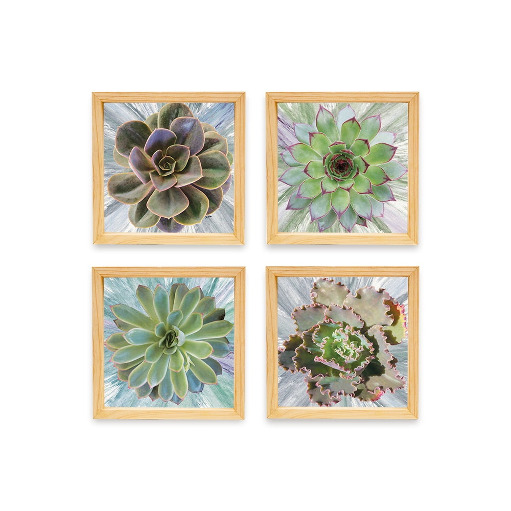 PINE BOXED CANVAS 4PCE COLLAGE SUCCULENTS WITH PAINT SET 2