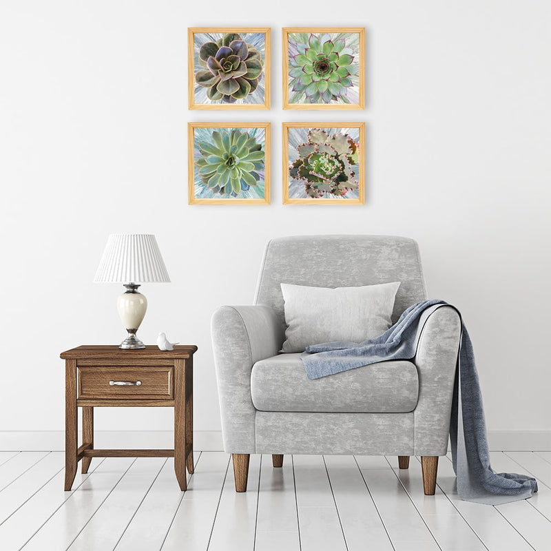 PINE BOXED CANVAS 4PCE COLLAGE SUCCULENTS WITH PAINT SET 2