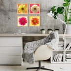 PINE BOXED CANVAS 4PCE BRIGHT DAISIES SET 1