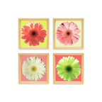 PINE BOXED CANVAS 4PCE BRIGHT DAISIES SET 2