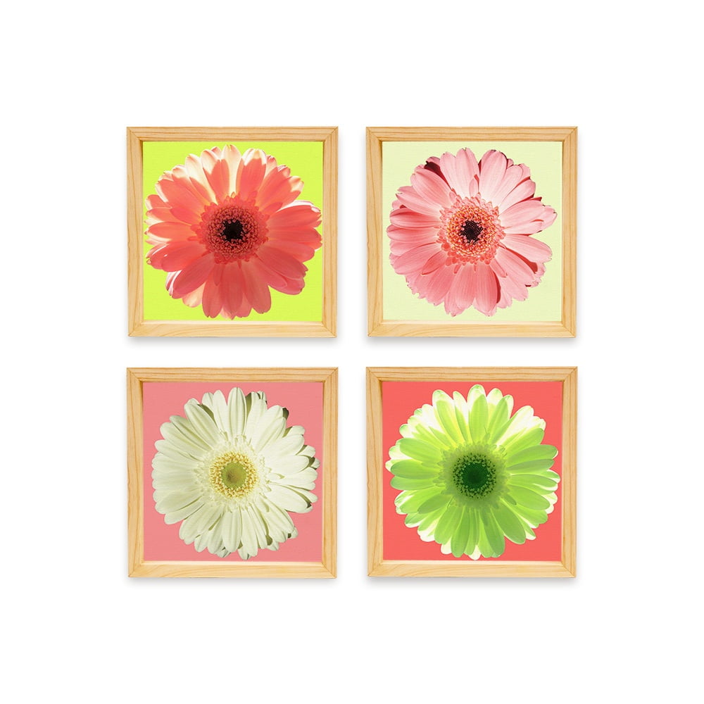 PINE BOXED CANVAS 4PCE BRIGHT DAISIES SET 2