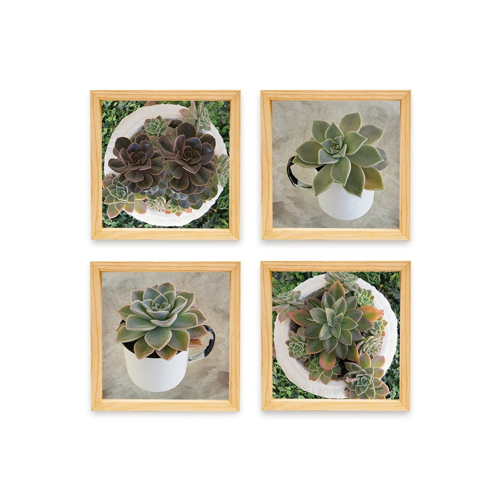PINE BOXED CANVAS 4PCE COLLAGE SUCCULENTS IN HOLDERS