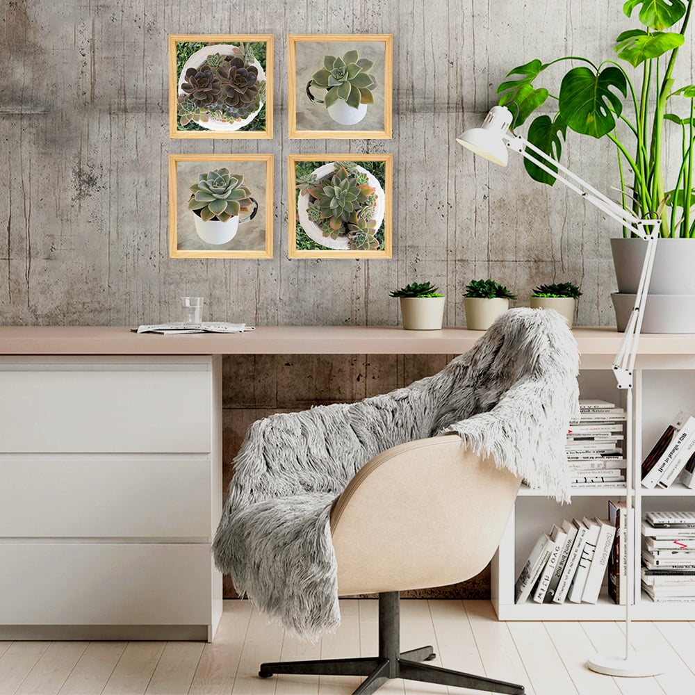 PINE BOXED CANVAS 4PCE COLLAGE SUCCULENTS IN HOLDERS