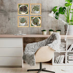PINE BOXED CANVAS 4PCE COLLAGE SUCCULENTS IN HOLDERS