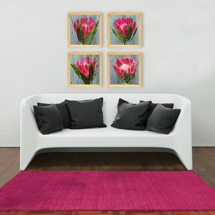 PINE BOXED CANVAS 4PCE COLLAGE BRIGHT PINK PROTEAS