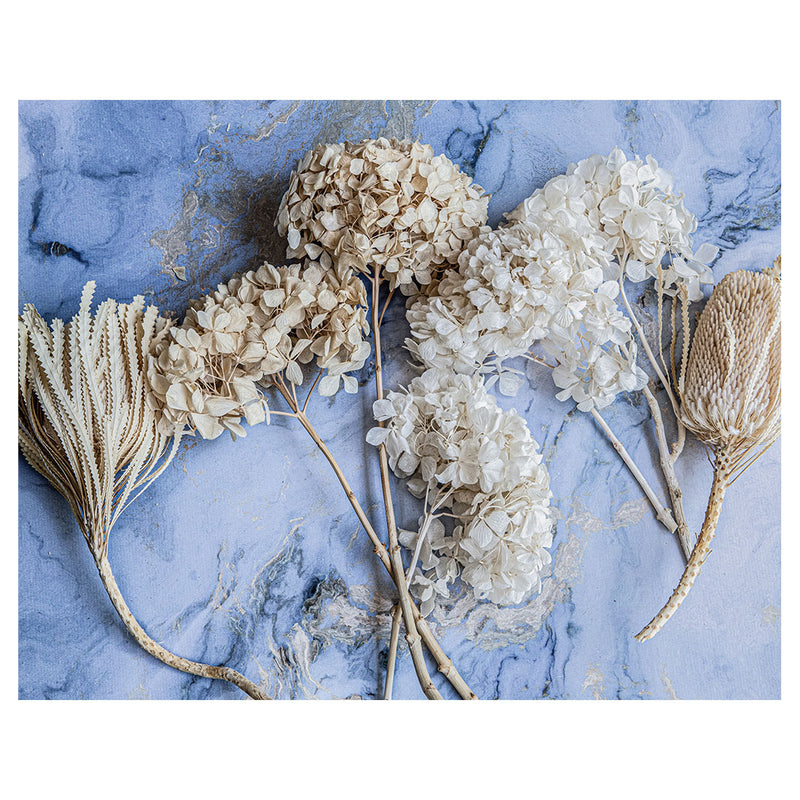 FLORAL CREAM BLEACHED HYDRANGEAS ON BLUE PLACEMAT