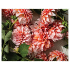 FLORAL ORANGE SCATTERED DAHLIAS WITH LEAVES PLACEMAT