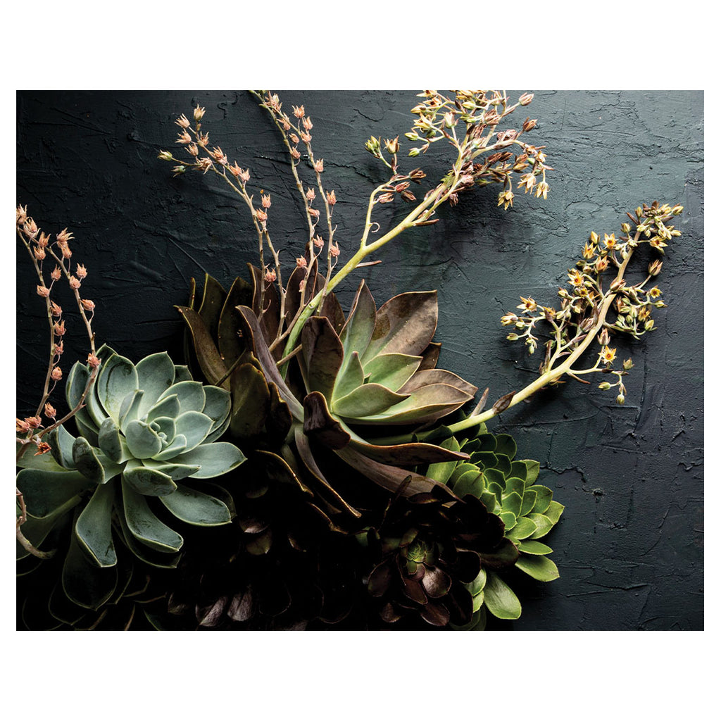 NATURAL GREEN ALOE BUSH WITH LEAVES PLACEMAT