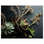 NATURAL GREEN ALOE BUSH WITH LEAVES PLACEMAT