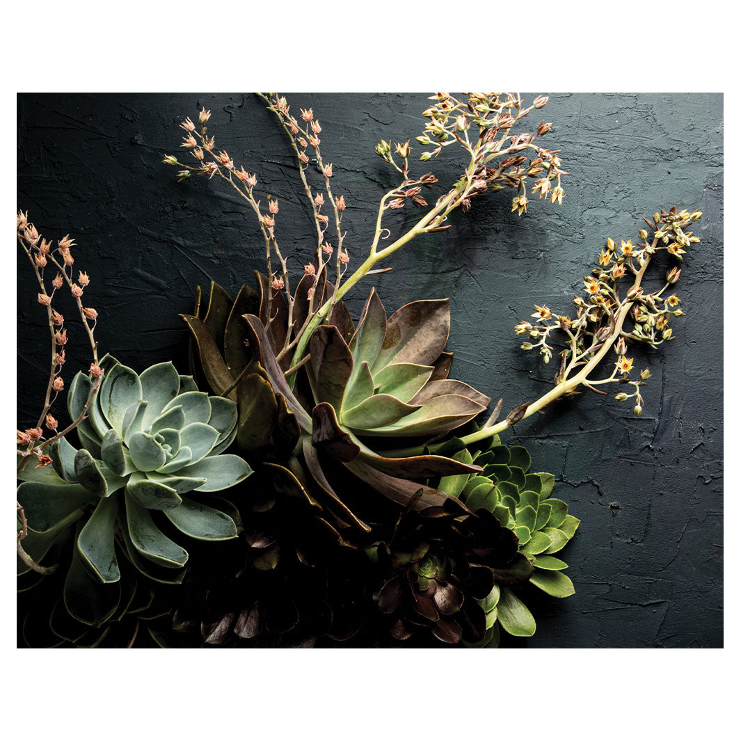 NATURAL GREEN ALOE BUSH WITH LEAVES PLACEMAT