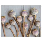 NATURAL PURPLE GIANT POPPY SEEDS ON GREY PLACEMAT