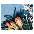 PROTEA, EUCALYPTUS AND WHITE FOLIAGE ON BLUE PLACEMAT