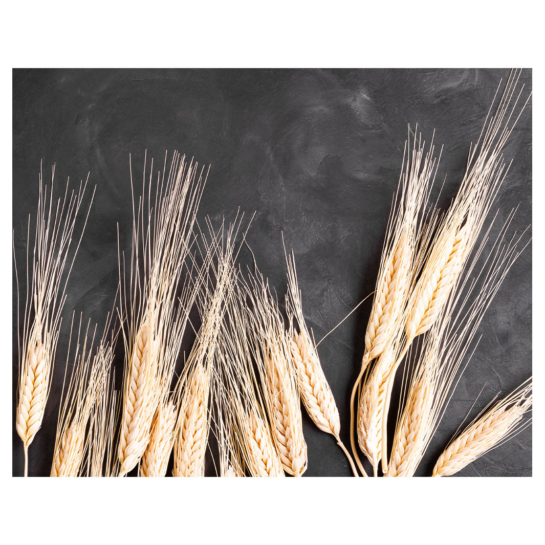 WHEAT ON POWDER BLACK PLACEMAT