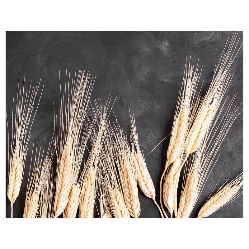 WHEAT ON POWDER BLACK PLACEMAT