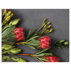 PINK PROTEAS ON GREY PLACEMAT