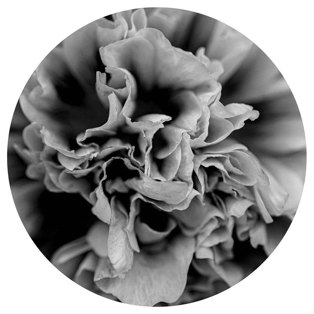 FLORAL BLACK AND WHITE PEONY PLACEMAT