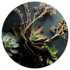 NATURAL GREEN ALOE BUSH WITH LEAVES PLACEMAT