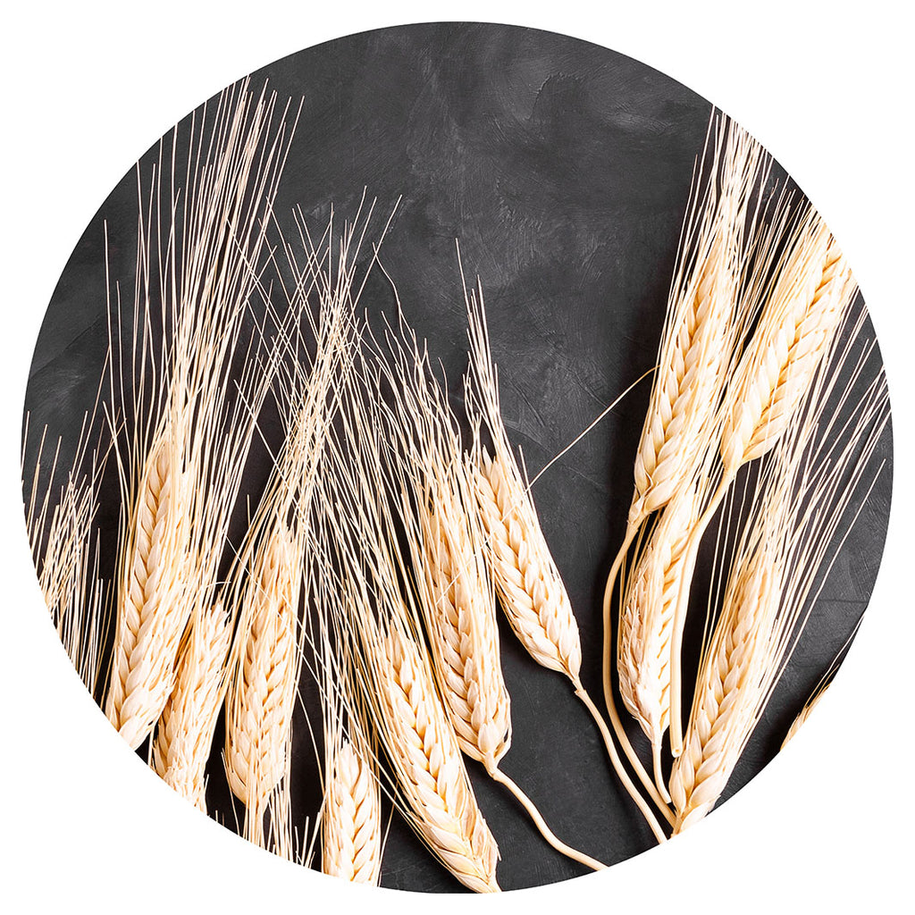 WHEAT ON POWDER BLACK PLACEMAT