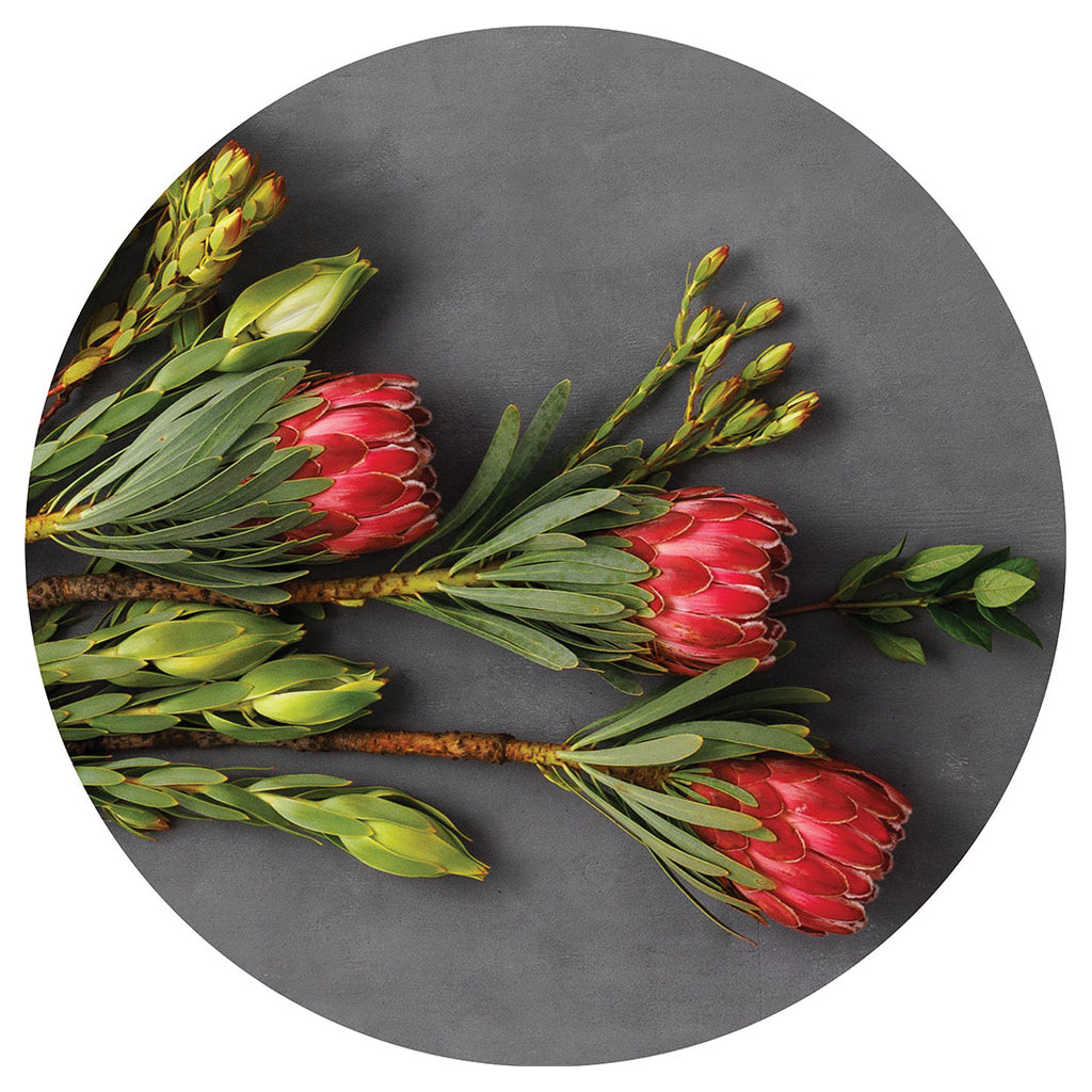 PINK PROTEAS ON GREY PLACEMAT