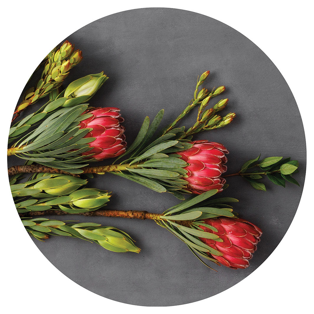 PINK PROTEAS ON GREY PLACEMAT