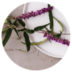 LAVENDER ON PLATE PLACEMAT