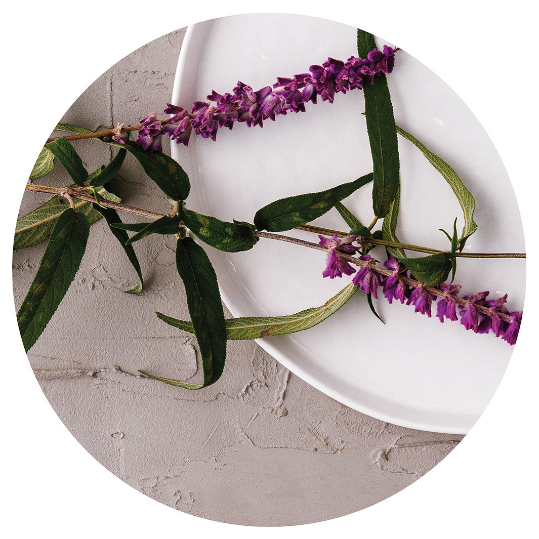 LAVENDER ON PLATE PLACEMAT