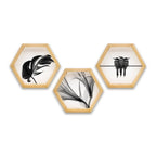 PINE BOXED CANVAS HEXAGONAL 3PCE COLLAGE B&W LEAVES & BIRDS
