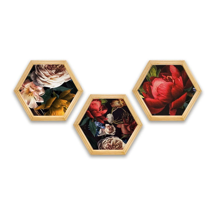 PINE BOXED CANVAS HEXAGONAL 3PCE COLLAGE RED FLORAL PEONIES